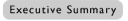 Executive Summary